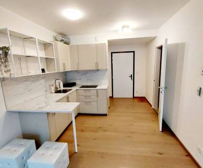 Na prenájom 1-izbový byt s balkónom, 42 m², Košická ul., ZWIRN, voľný 
