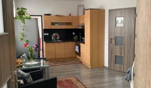 Pekný, komfortný 3-izbový rodinný dom na predaj v obci OHRADY pri Duna