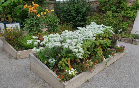 Súčasťou projektu je aj komunitná záhrada.