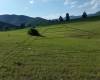 NOVÉ !!! POZEMKY NA PREDAJ NITRIANSKE RUDNO - OKRES PRIEVIDZA