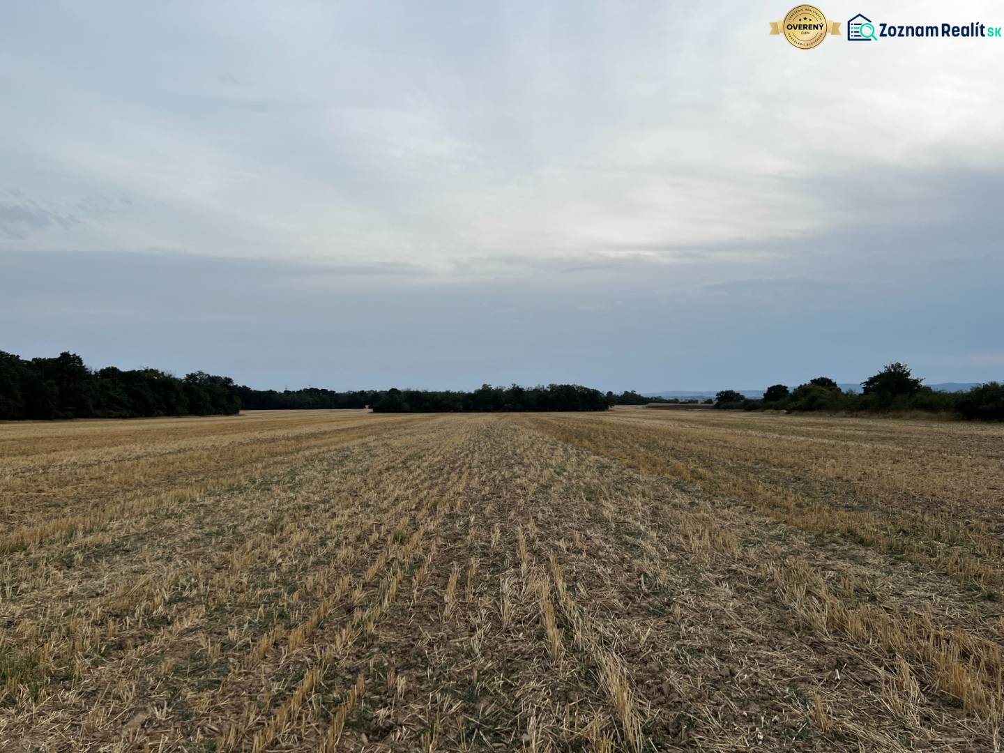 PREDAJ investičného pozemku Senec  - pozemok.jpg