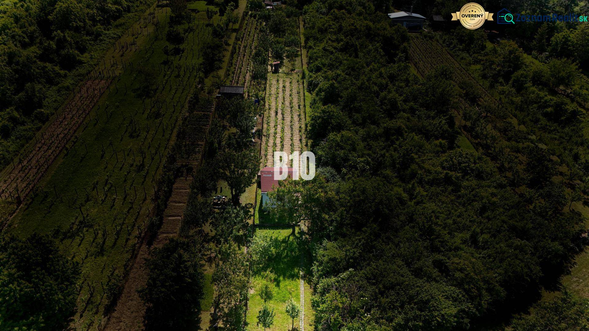 Vinica na skok od Nitry + chata - 590 m2 - Vinice pri Nitre obklopené zeleňou s malou budovou na pozemku.