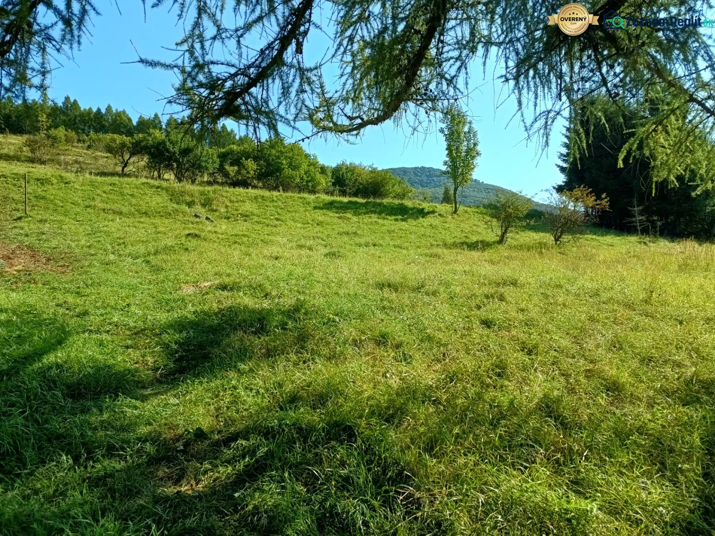 STAVEBNÝ POZEMOK - vo výmere 1036 m2 v obci Vrícko okr. Martin - Zelená lúka obklopená stromami vo Vrícku, ideálna pre pozemky - bývanie.