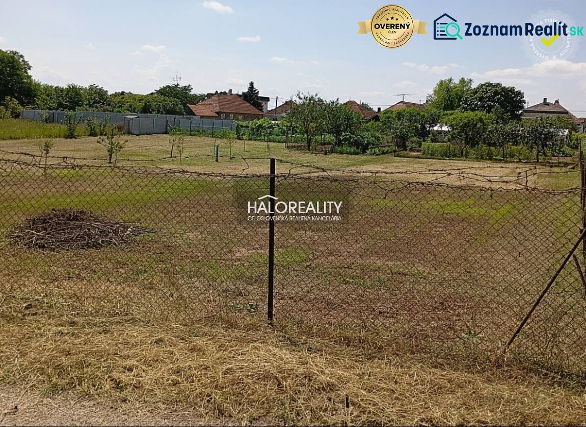 Predaj, záhradný pozemok   1652 m2 Marcelová - EXKLU... - Záhrady v Marcelovej s trávnatým povrchom a oplotením, stromčeky v pozadí.
