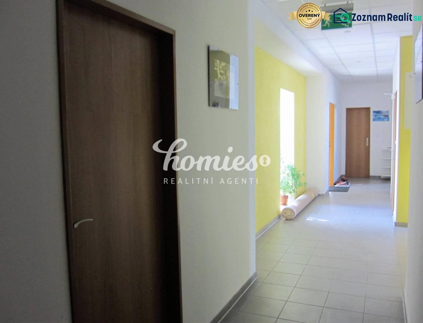PRENÁJOM KANCELÁRSKYCH priestorov , NITRA - Štúrova ulica - Chodba s dverami a rastlinou, na ulici Štúrova, smeruje ku kanceláriám.