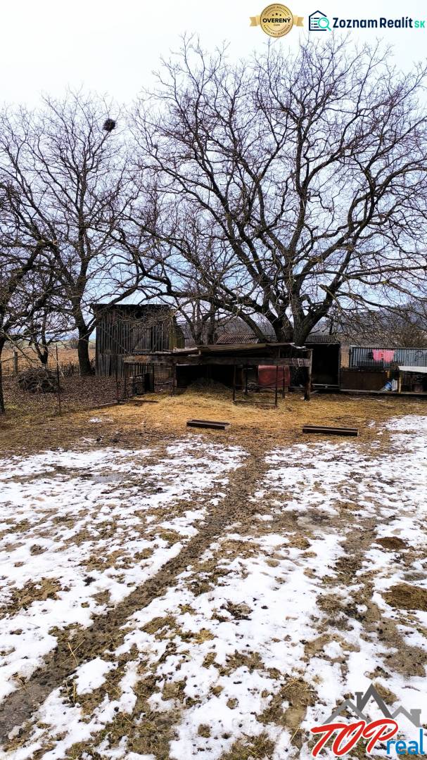 Pekný stavebný pozemok v obci Krásnohorské Podhradie - Zasnežené pozemky na bývanie so stromami na Mierovej ulici v Krásnohorskom Podhradí.
