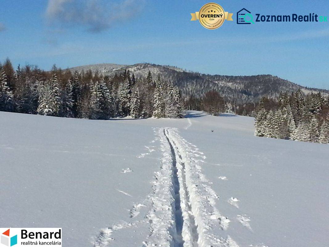 POZEMOK PRI LYŽIARSKOM SVAHU LITMANOVÁ - Rekreačné pozemky pri Litmanovej pokryté snehom, obklopené zasneženými stromami a kopcami.