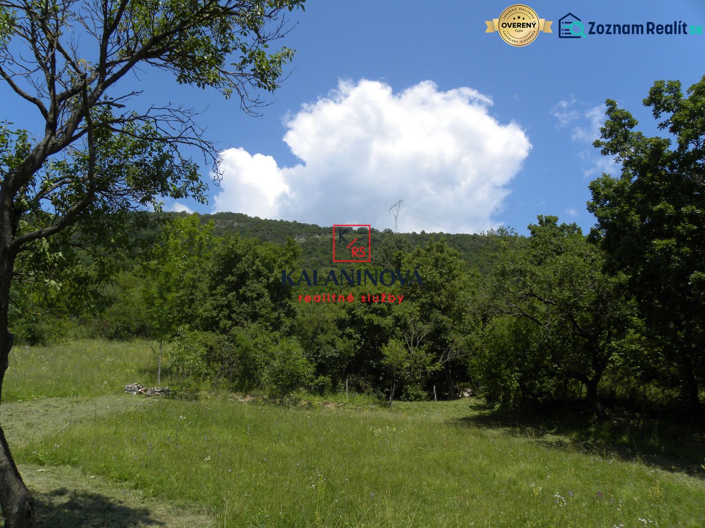 Fotografia 3