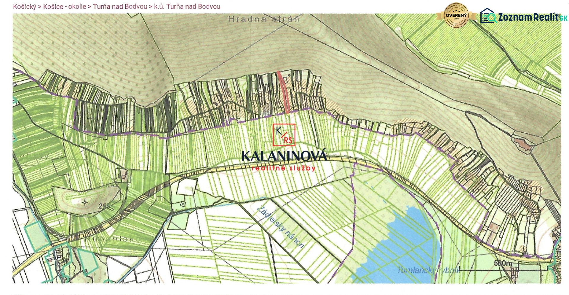 Fotografia 4