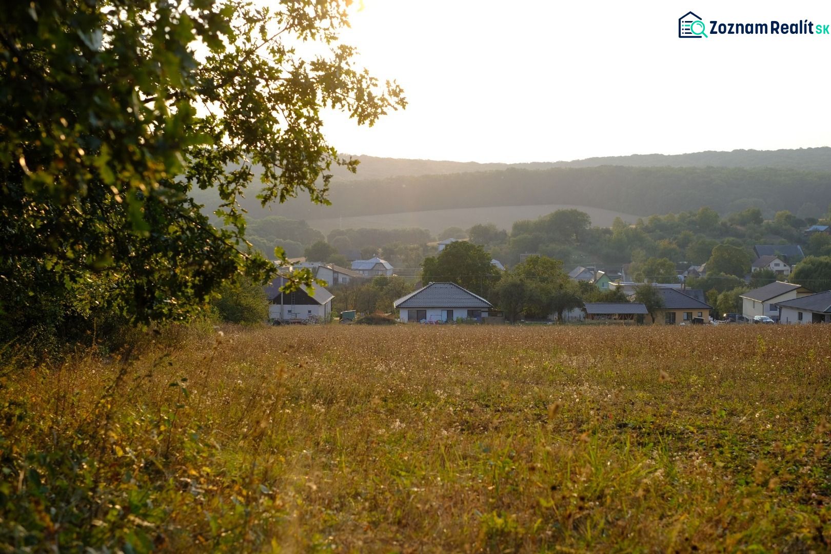 Fotografia 10