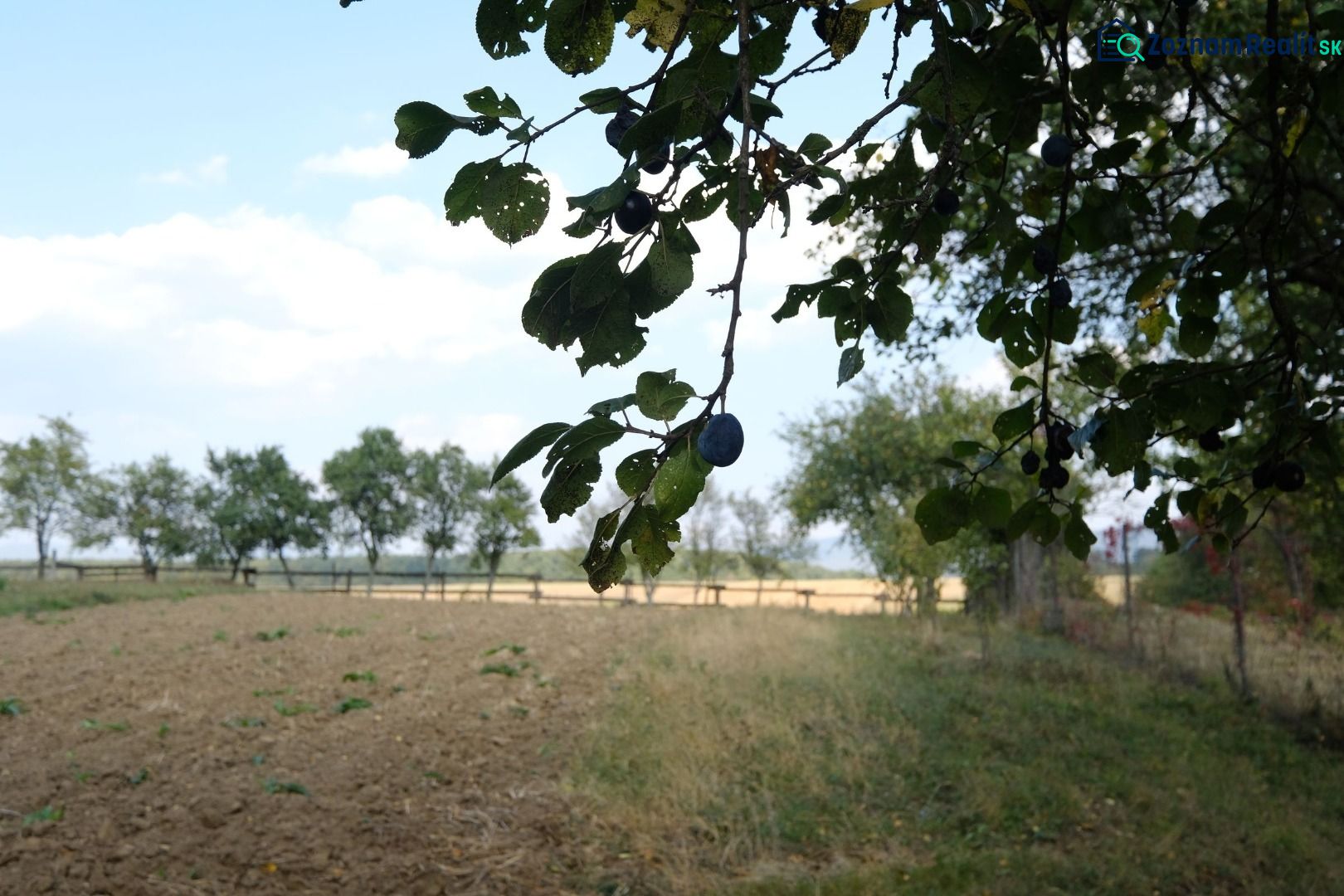 Fotografia 5