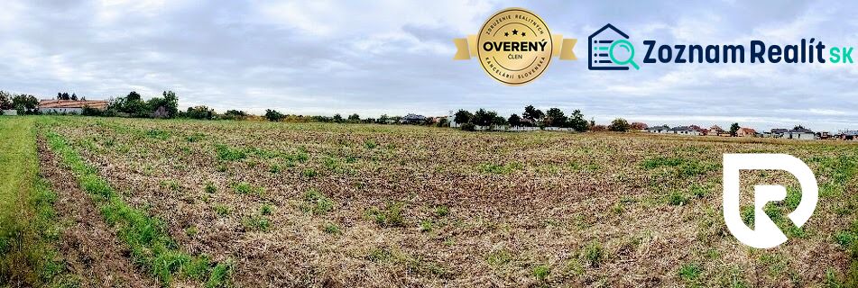 Fotografia 7