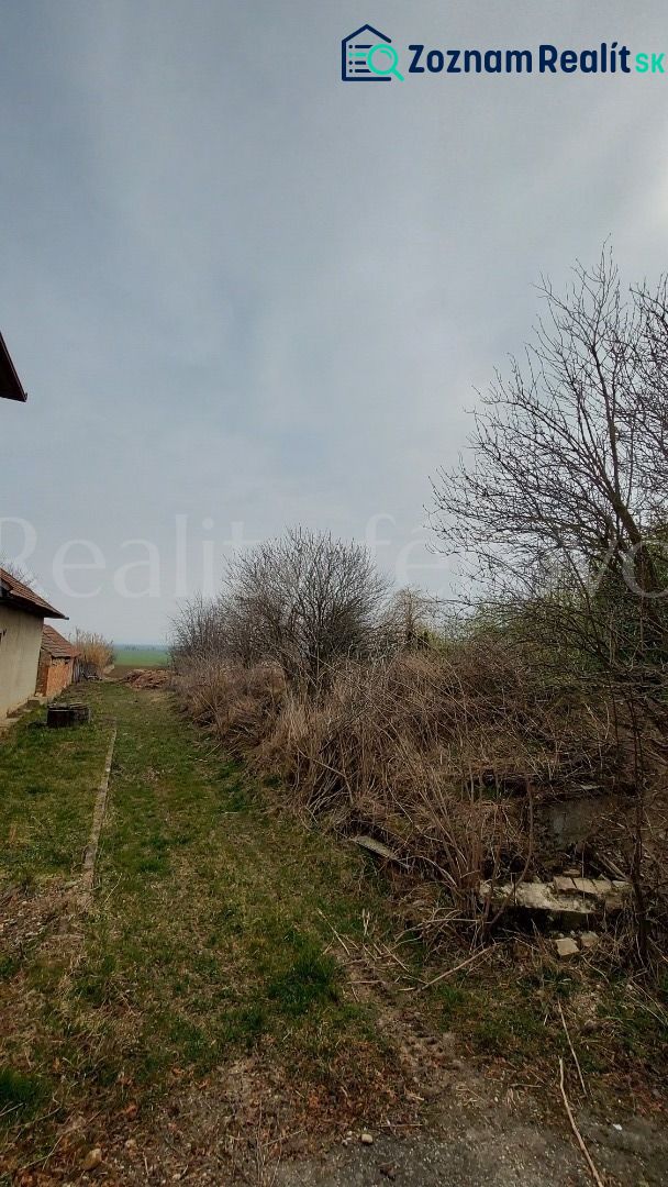 Fotografia 6