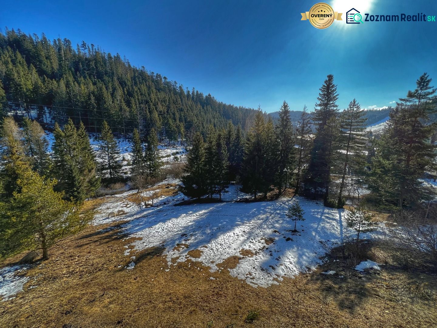 Fotografia 9