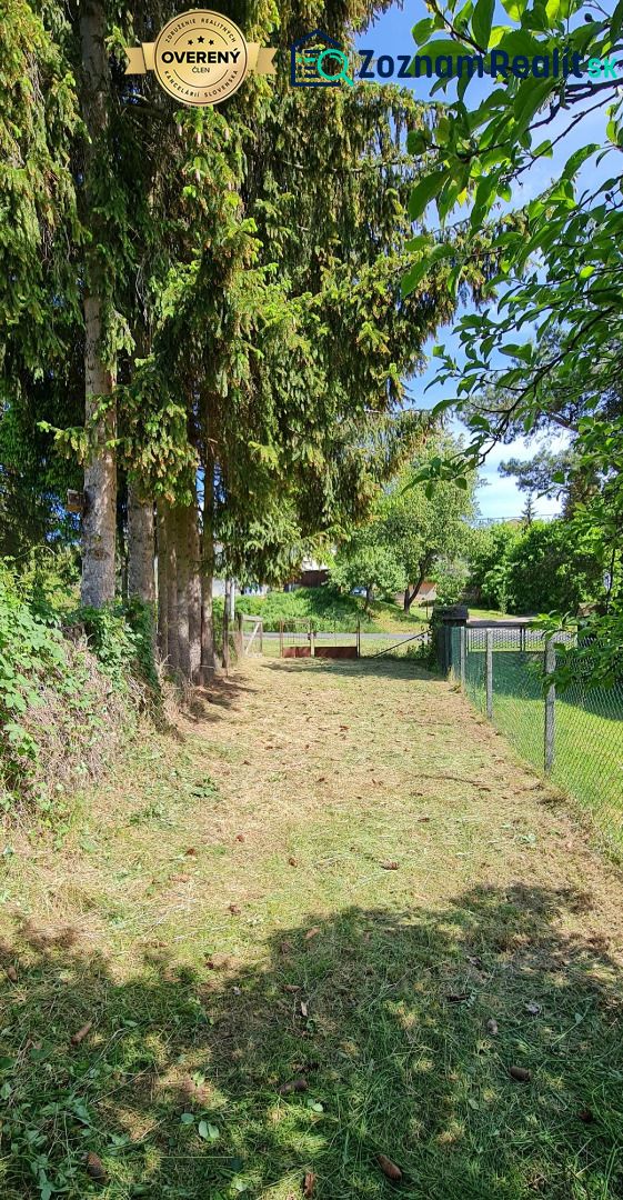 Fotografia 5
