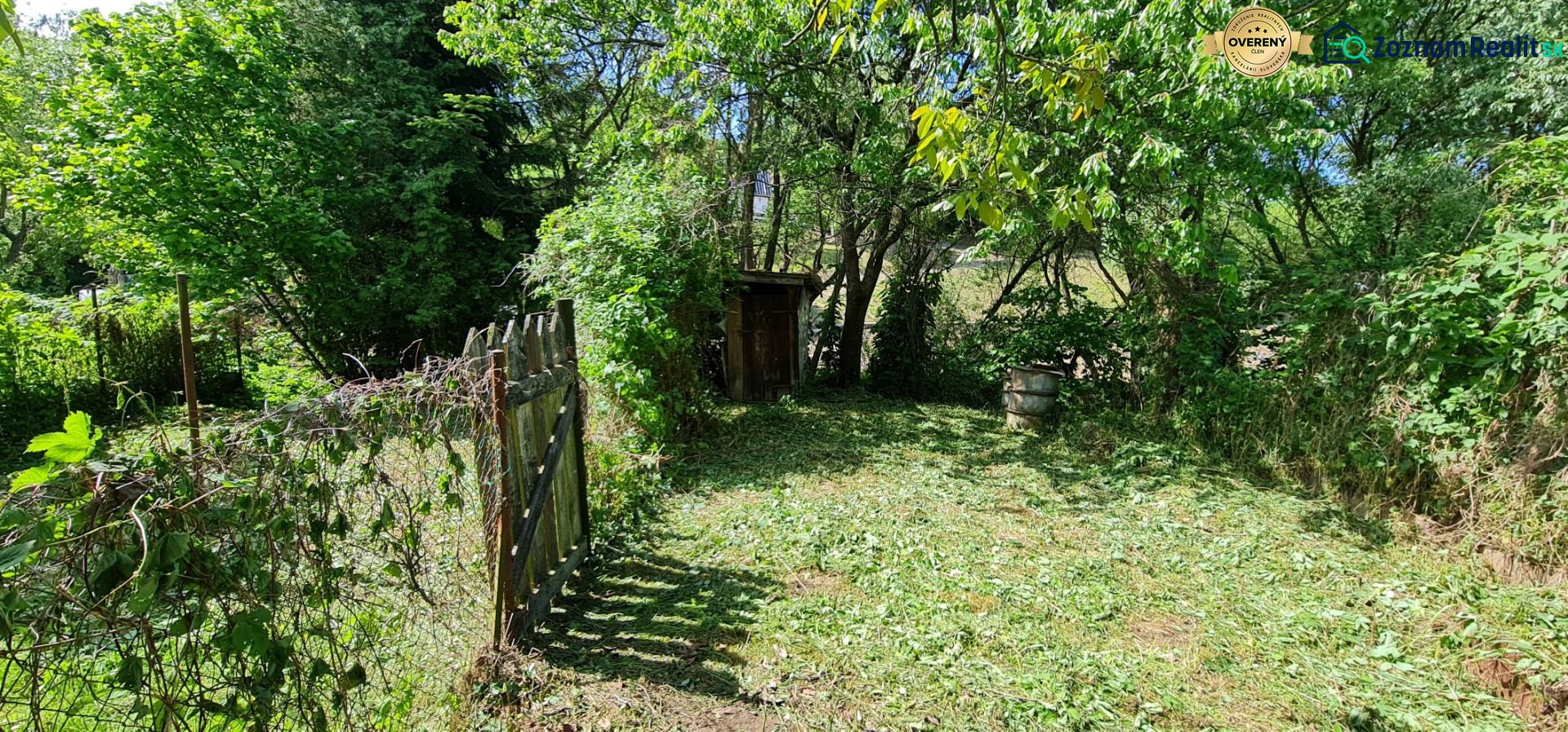 Fotografia 6