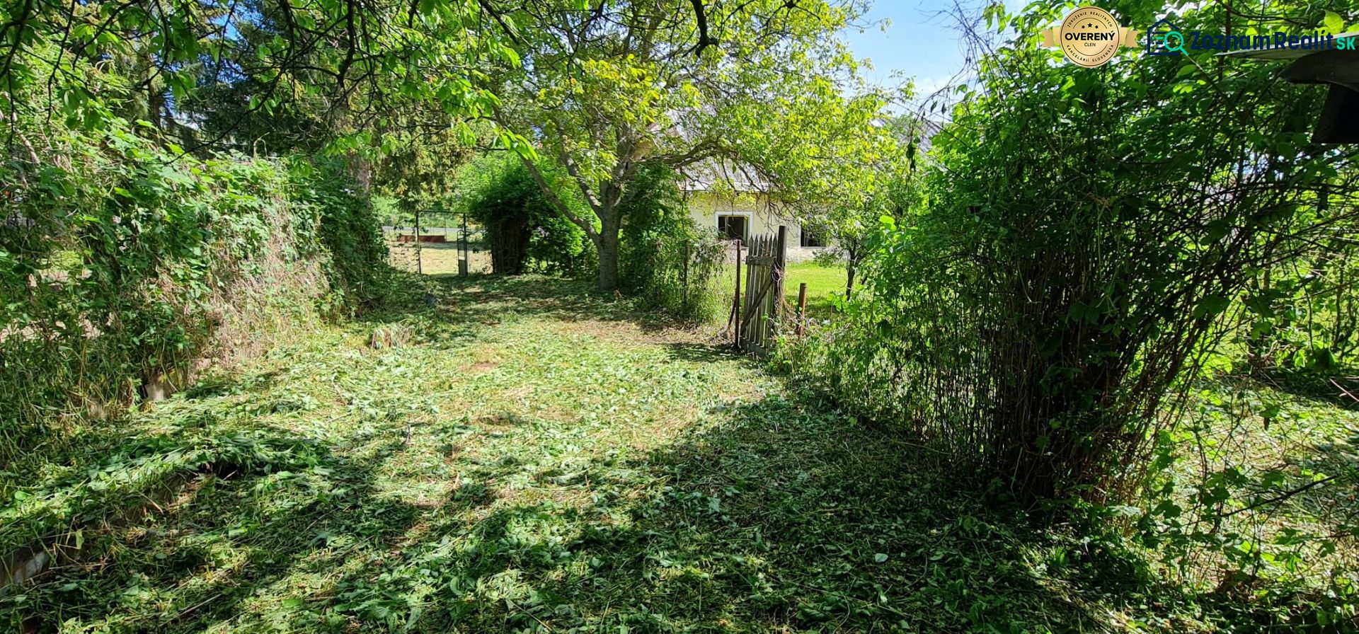 Fotografia 7