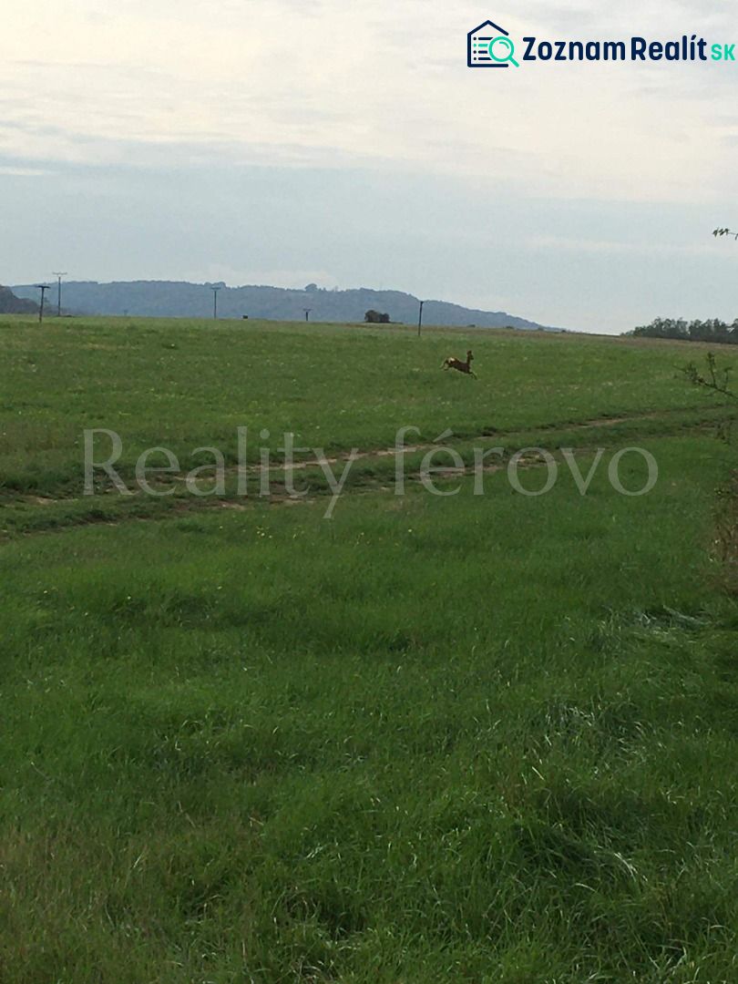 Fotografia 5