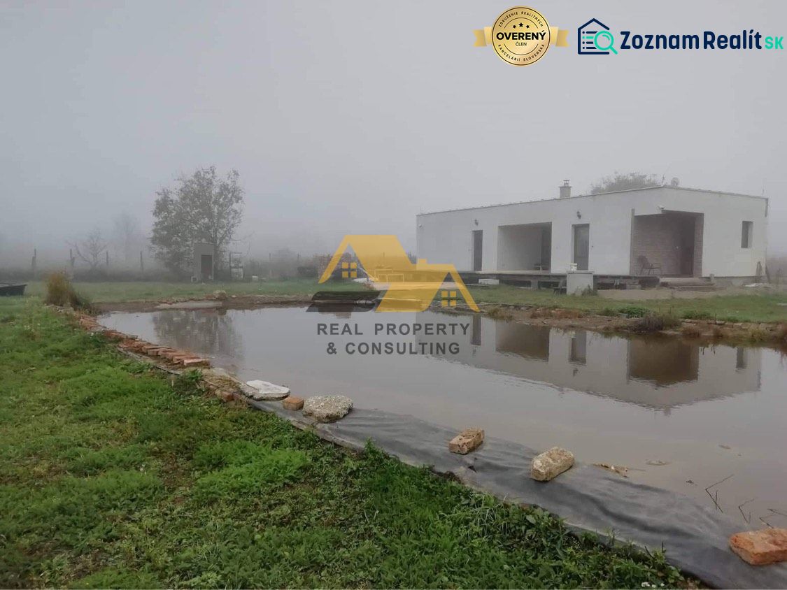 Fotografia 5