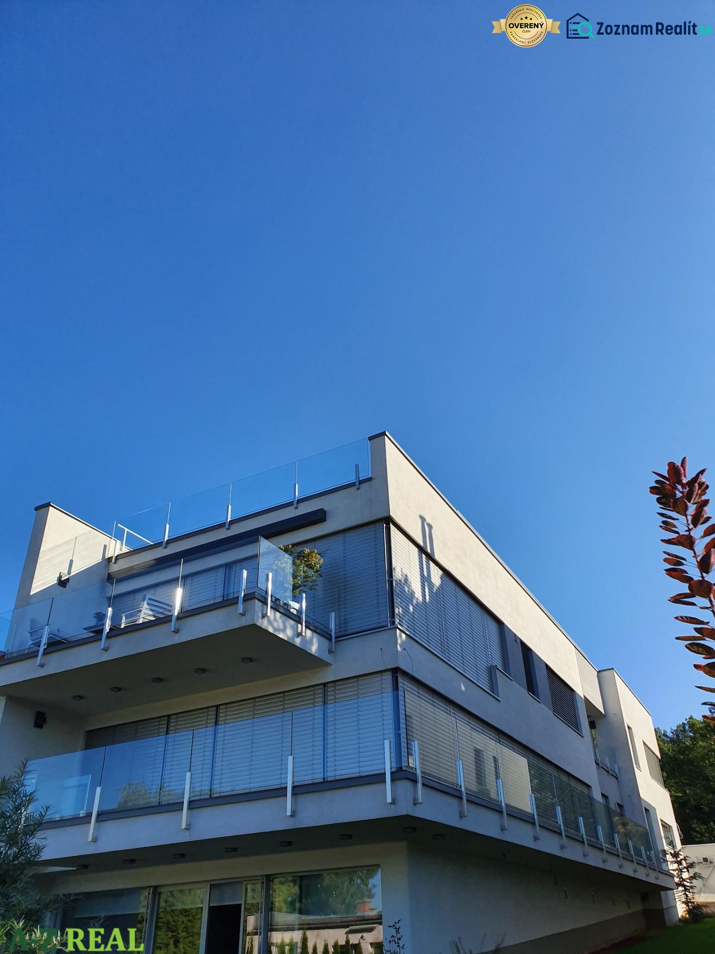 Fotografia 3