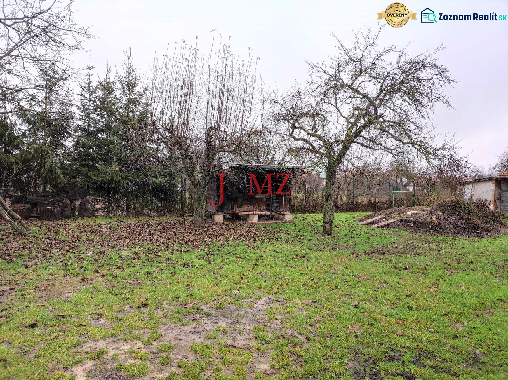 Fotografia 12