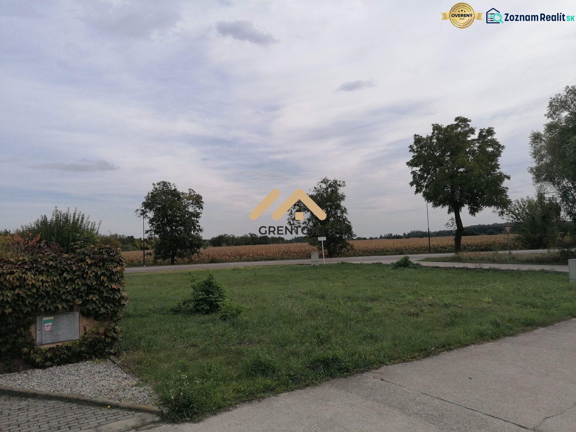 Fotografia 5