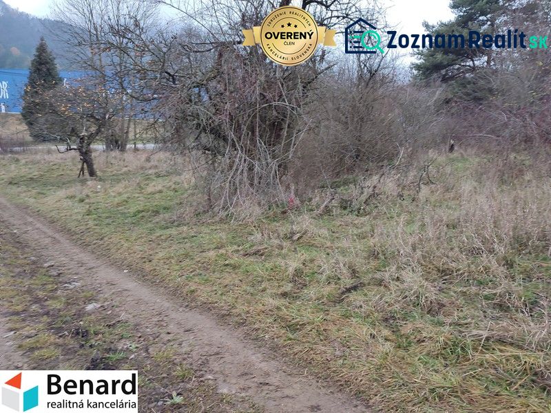Fotografia 3