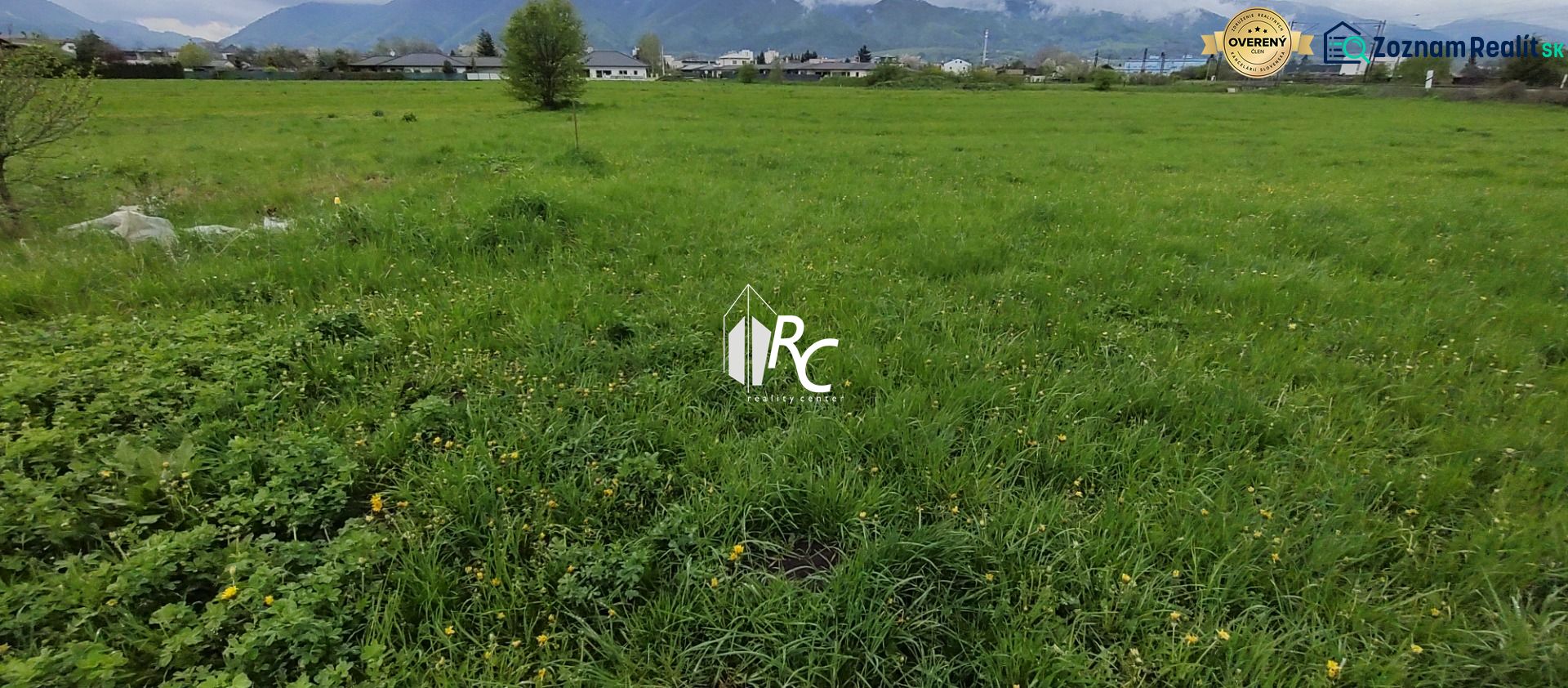 Fotografia 9