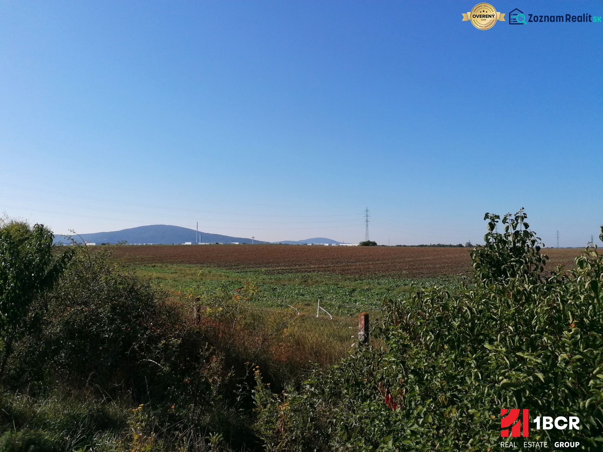 Fotografia 3