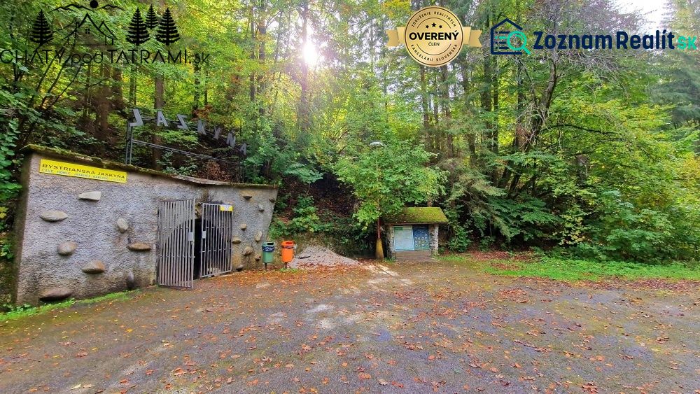 Fotografia 5