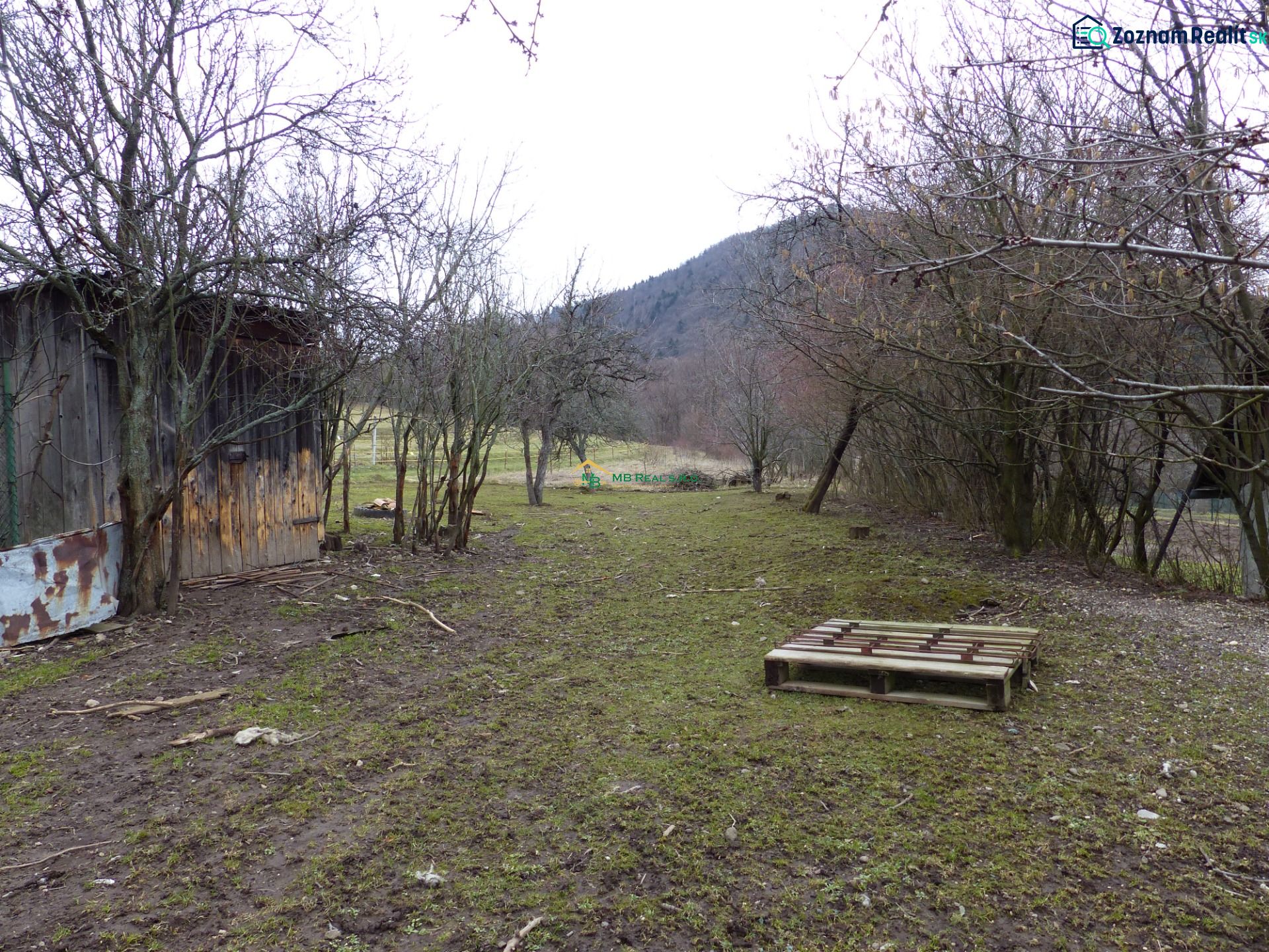 Fotografia 12