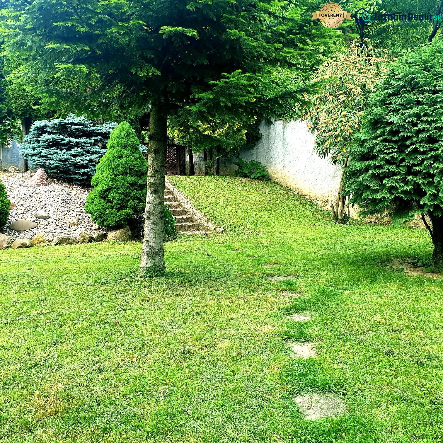 Fotografia 14