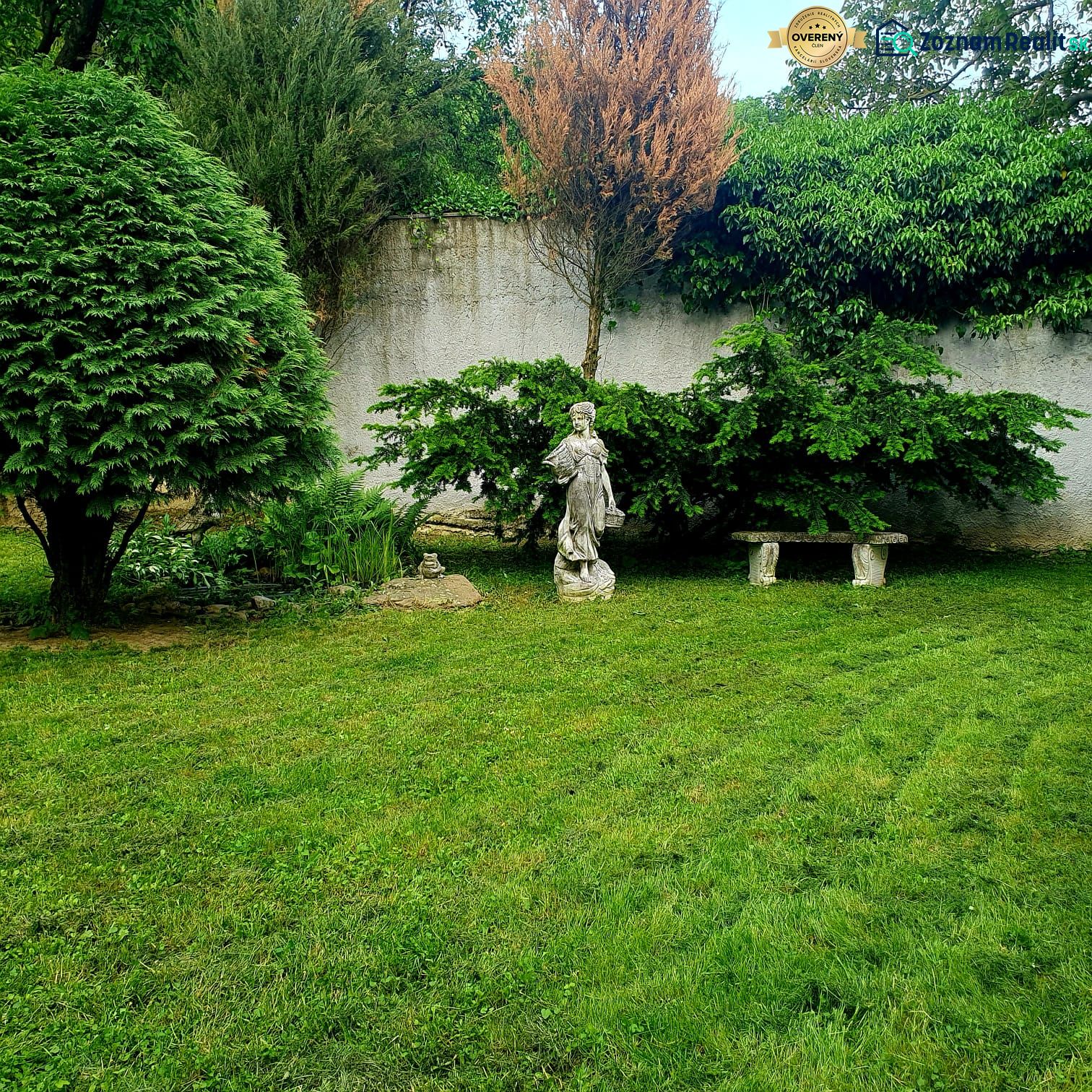Fotografia 12