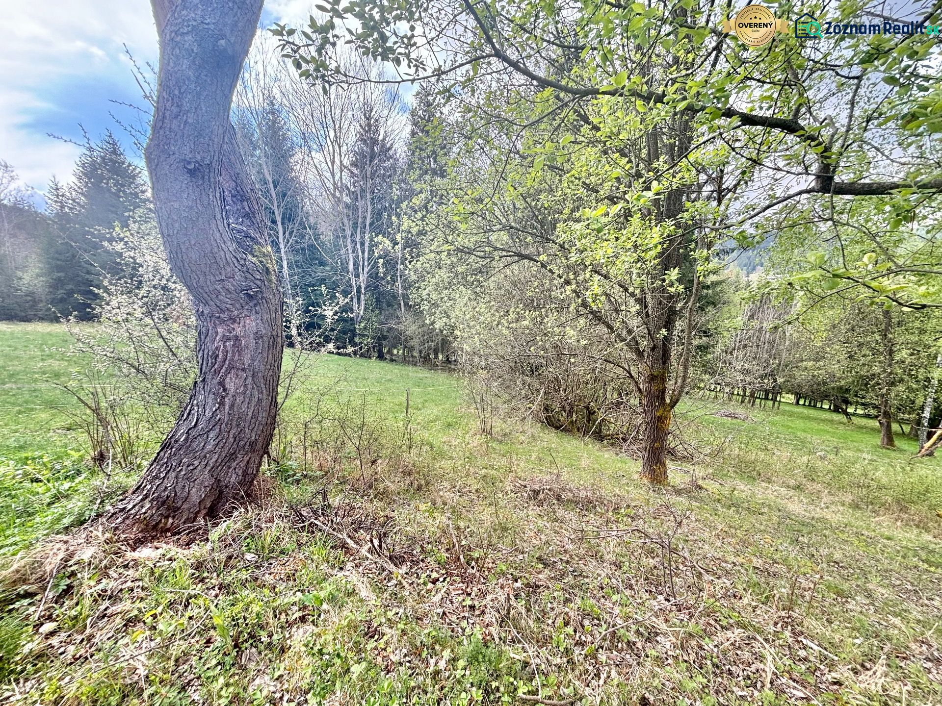 Fotografia 6