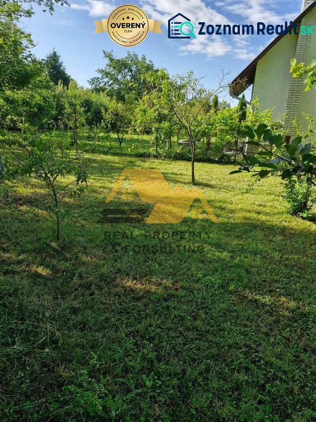 Fotografia 7