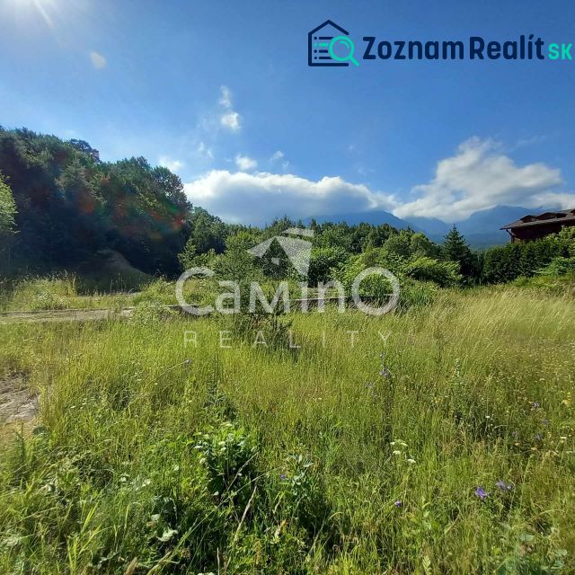 Fotografia 3