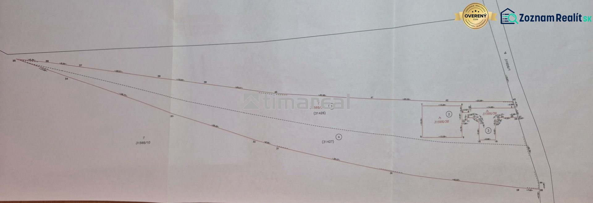 Fotografia 3