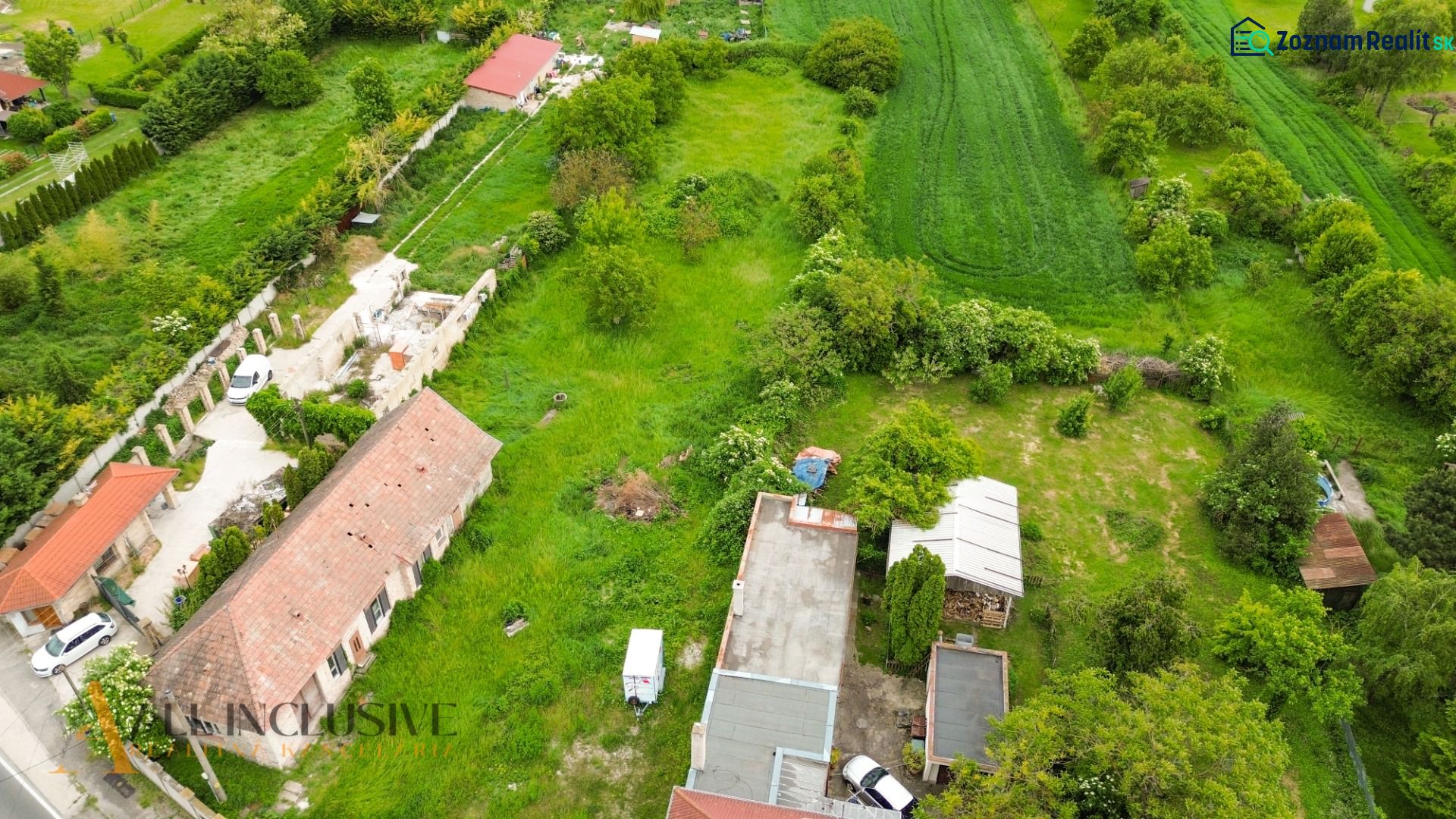 Fotografia 5