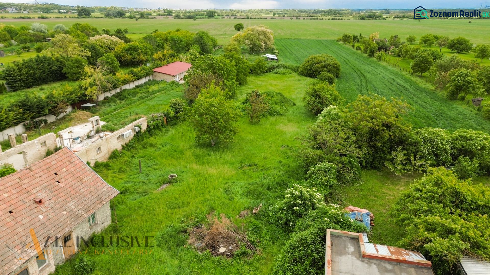 Fotografia 7