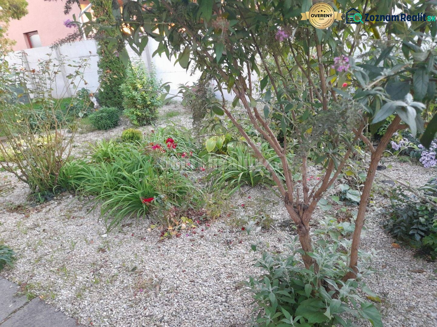 Fotografia 15