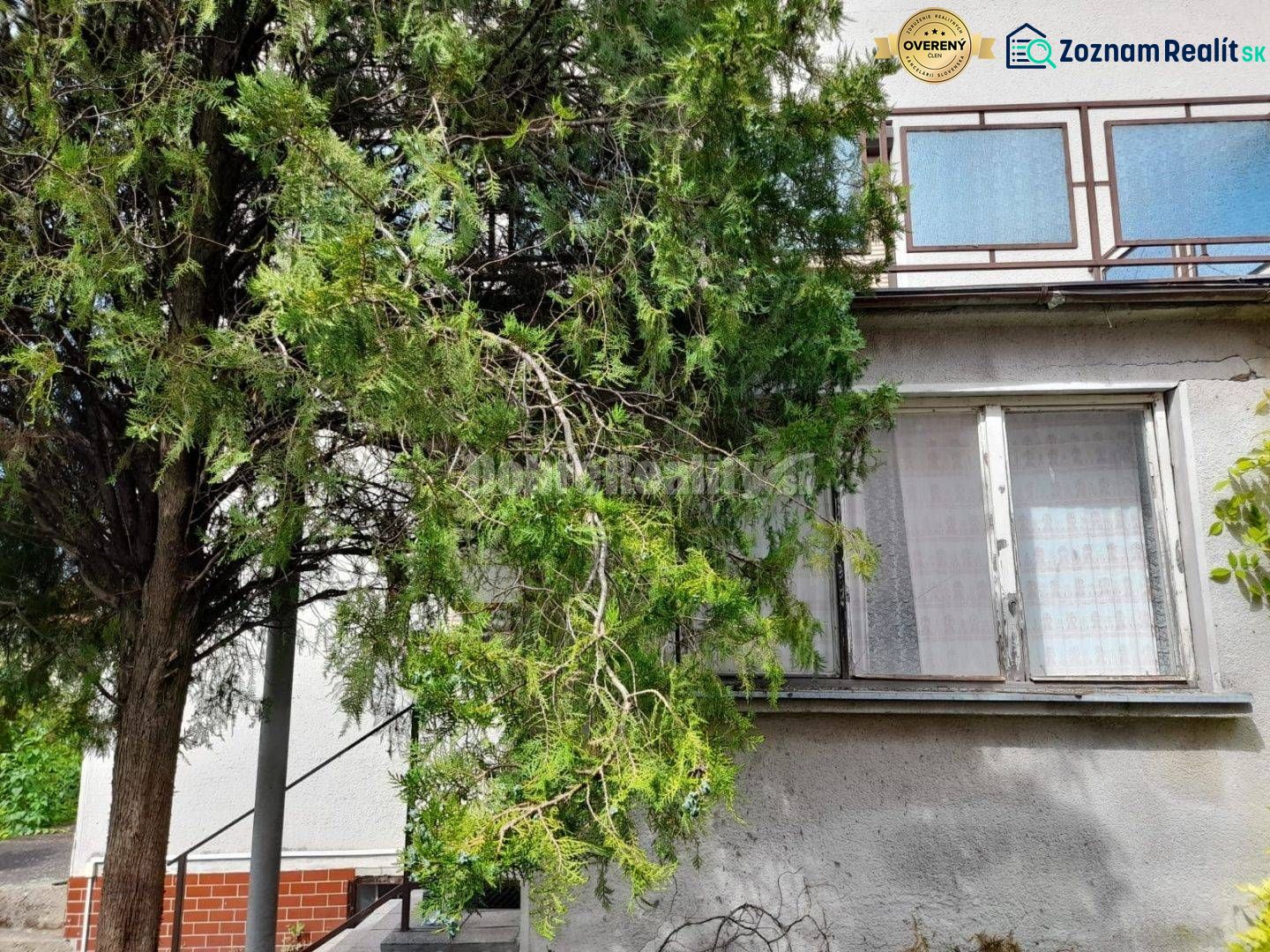 Fotografia 5