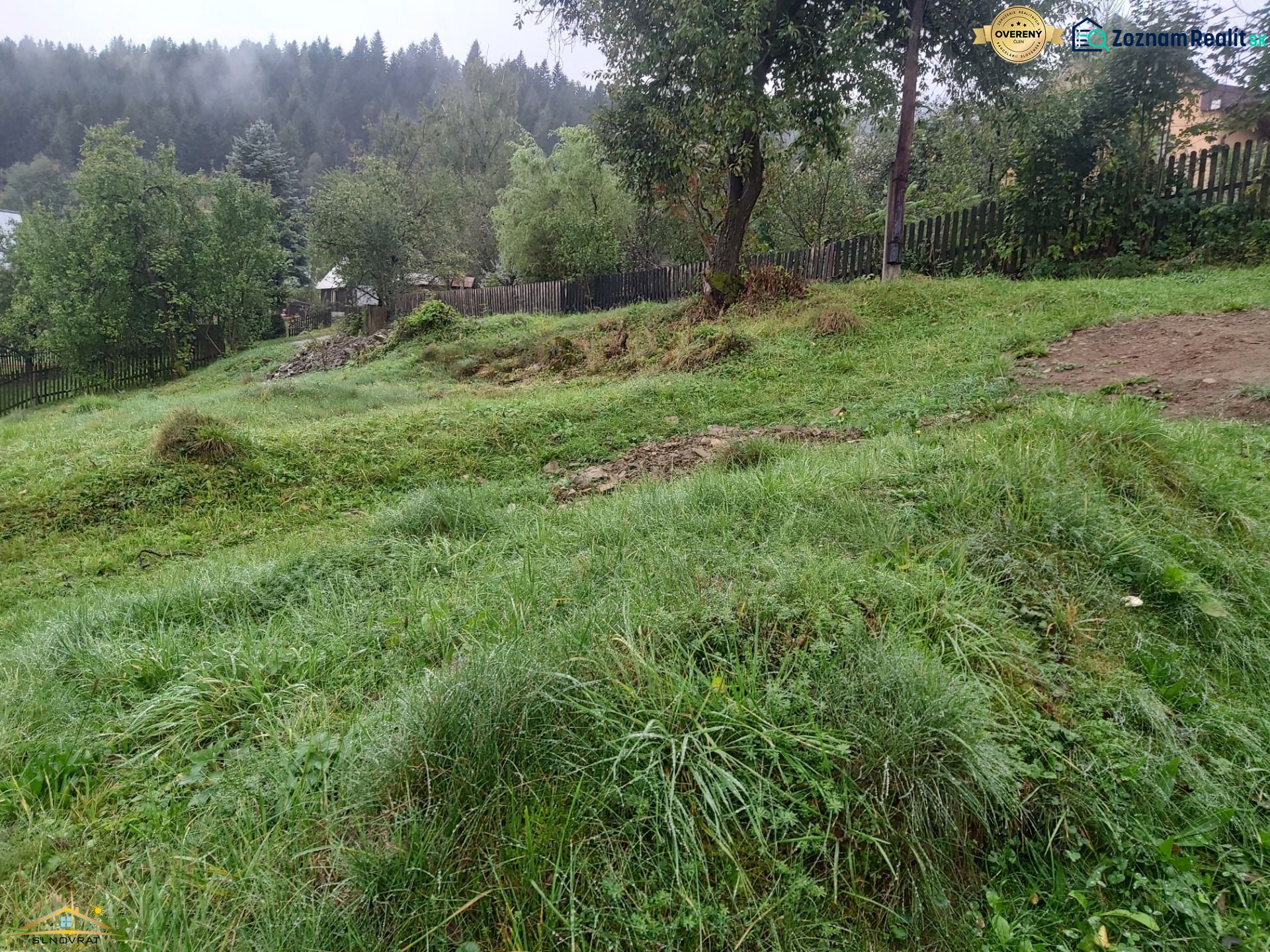 Fotografia 3