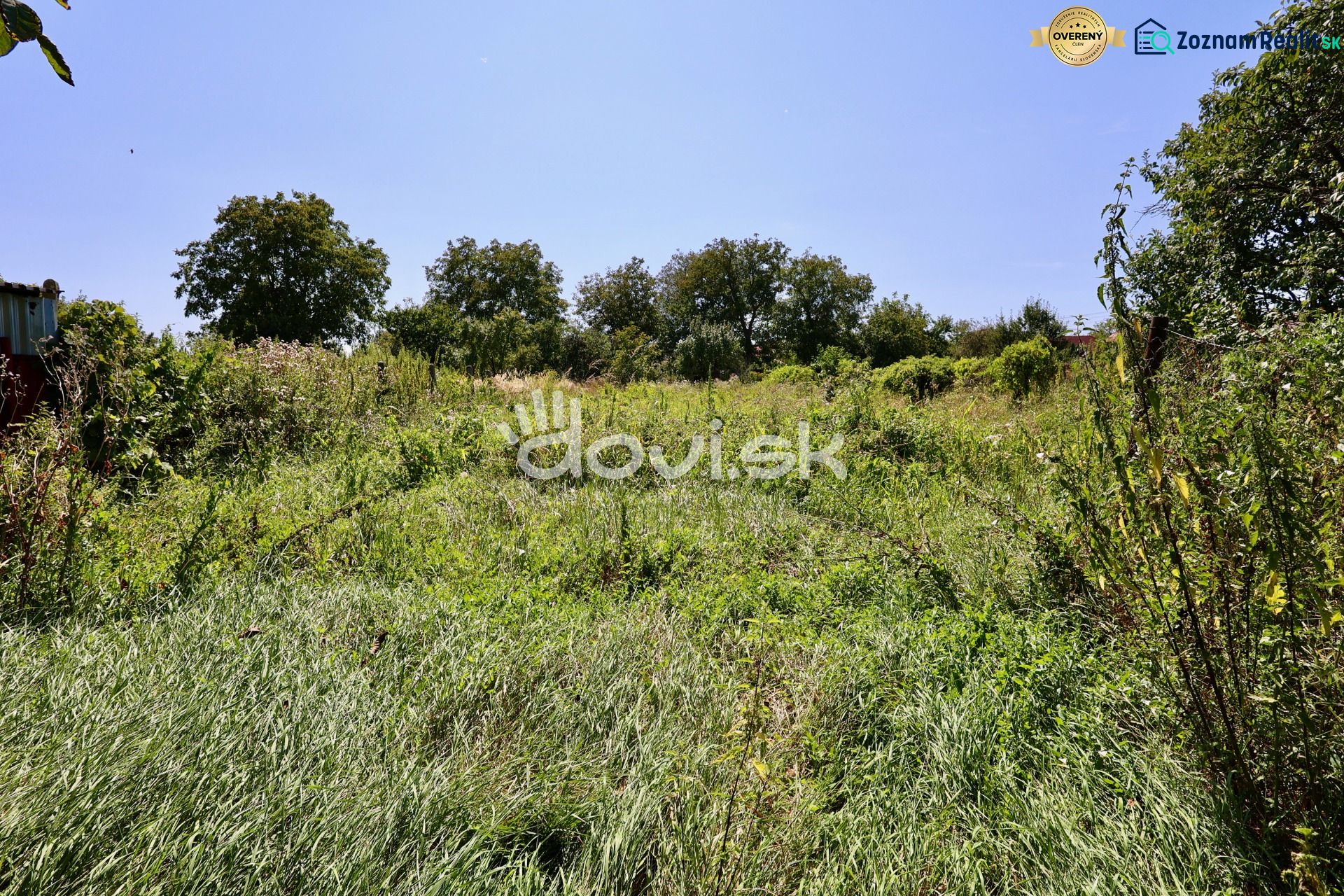Fotografia 7