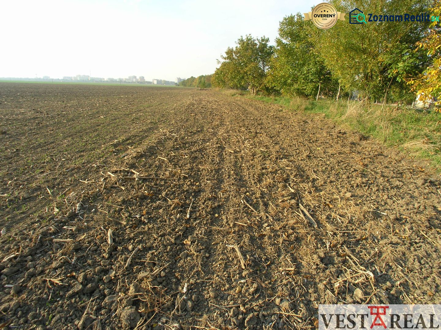 Fotografia 7
