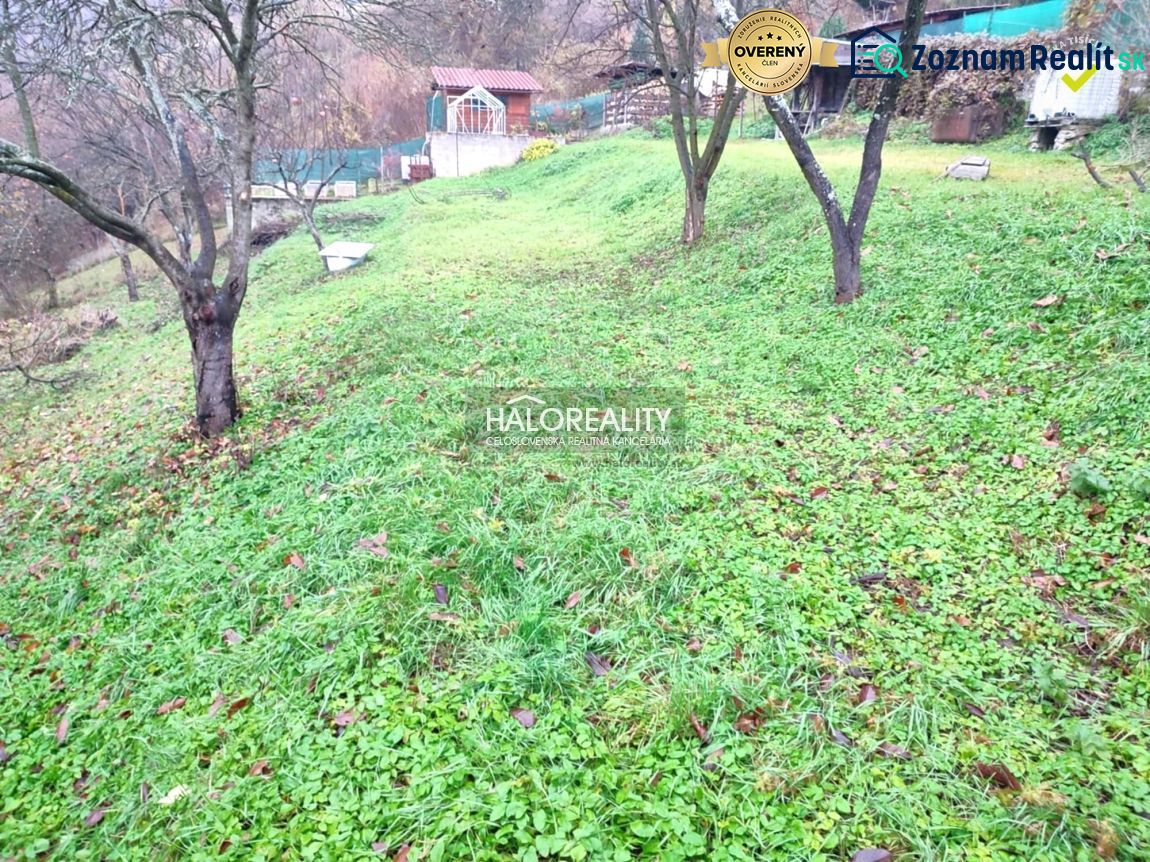 Fotografia 5