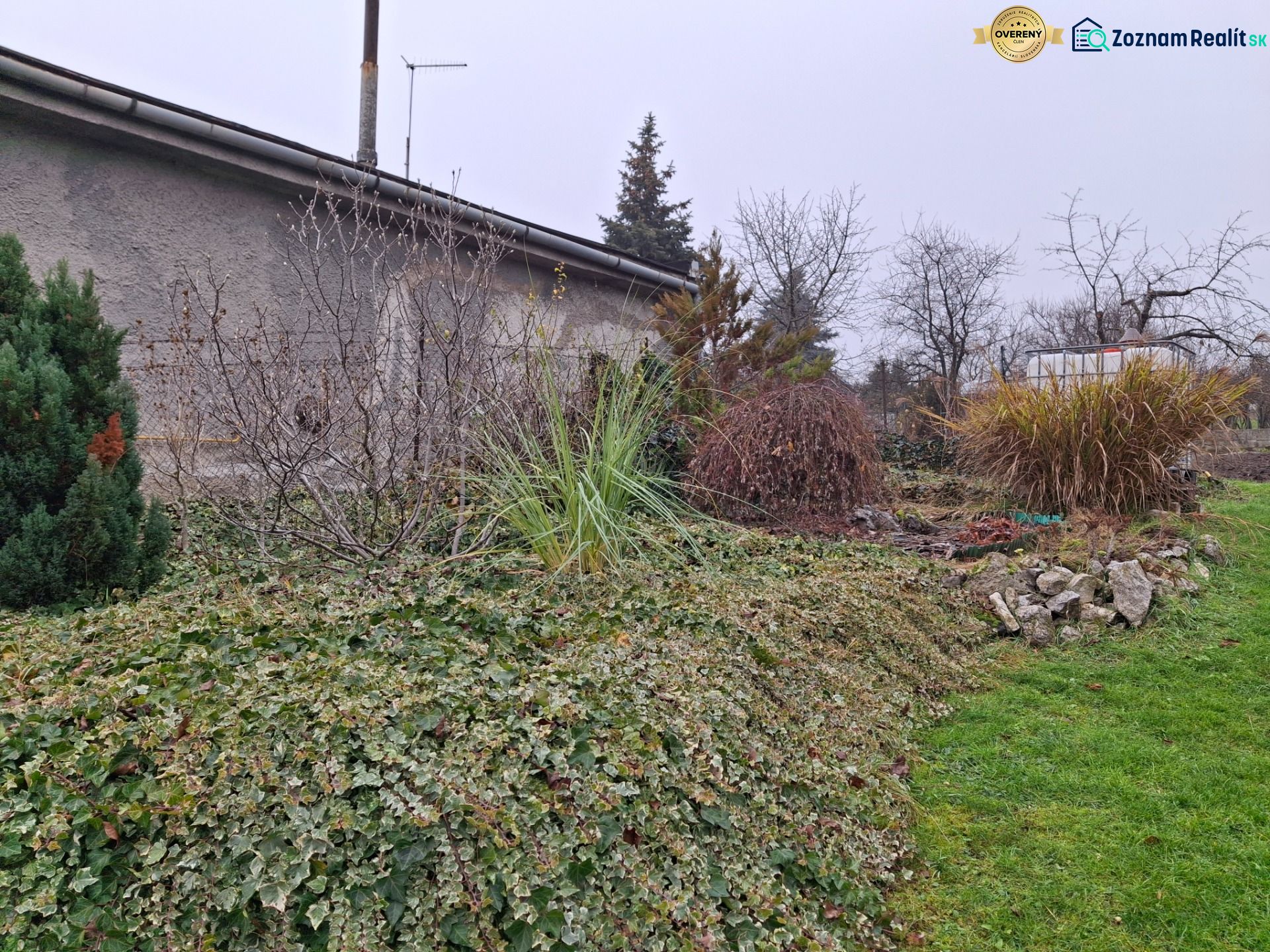 Fotografia 9