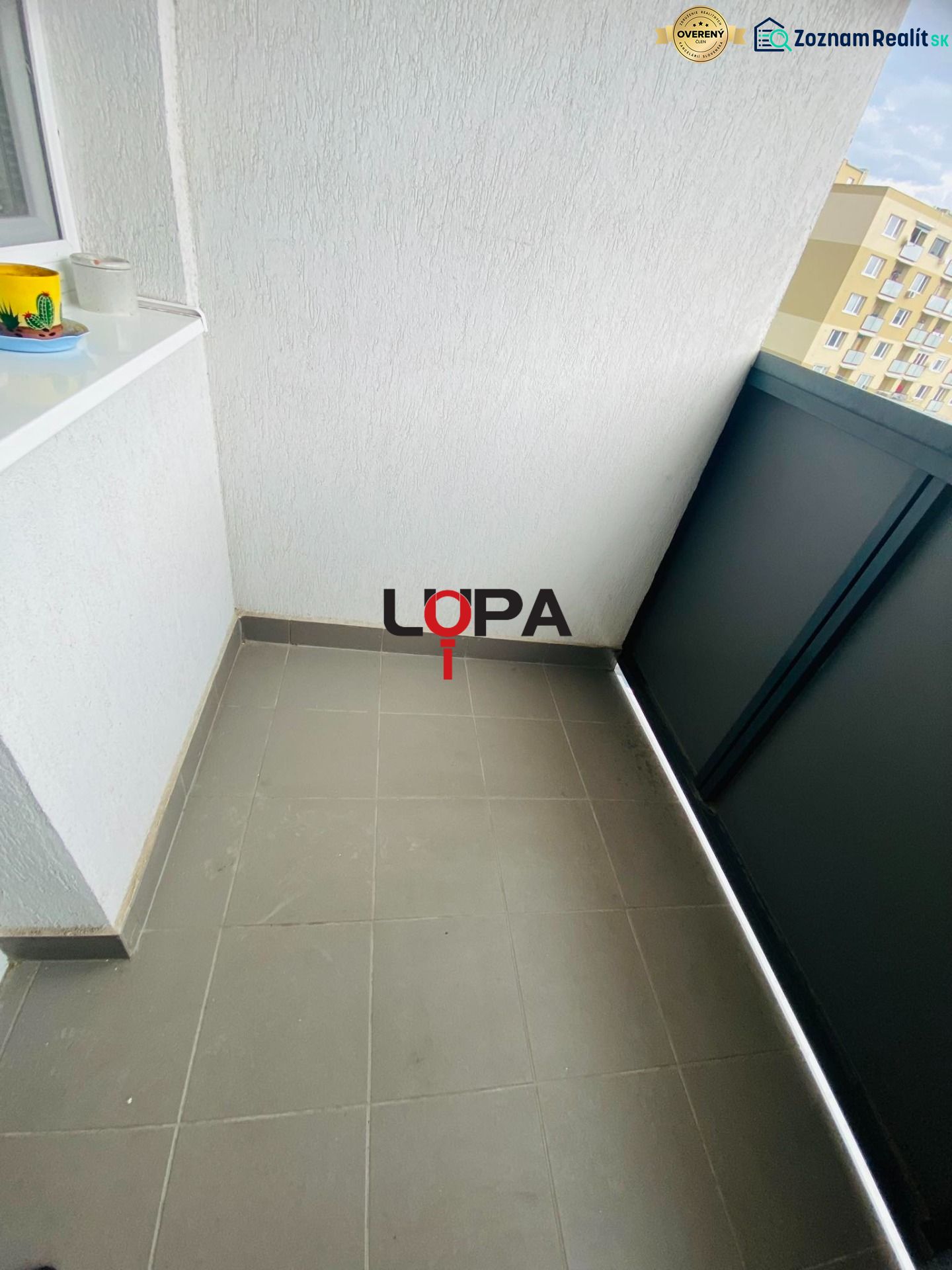 Fotografia 6