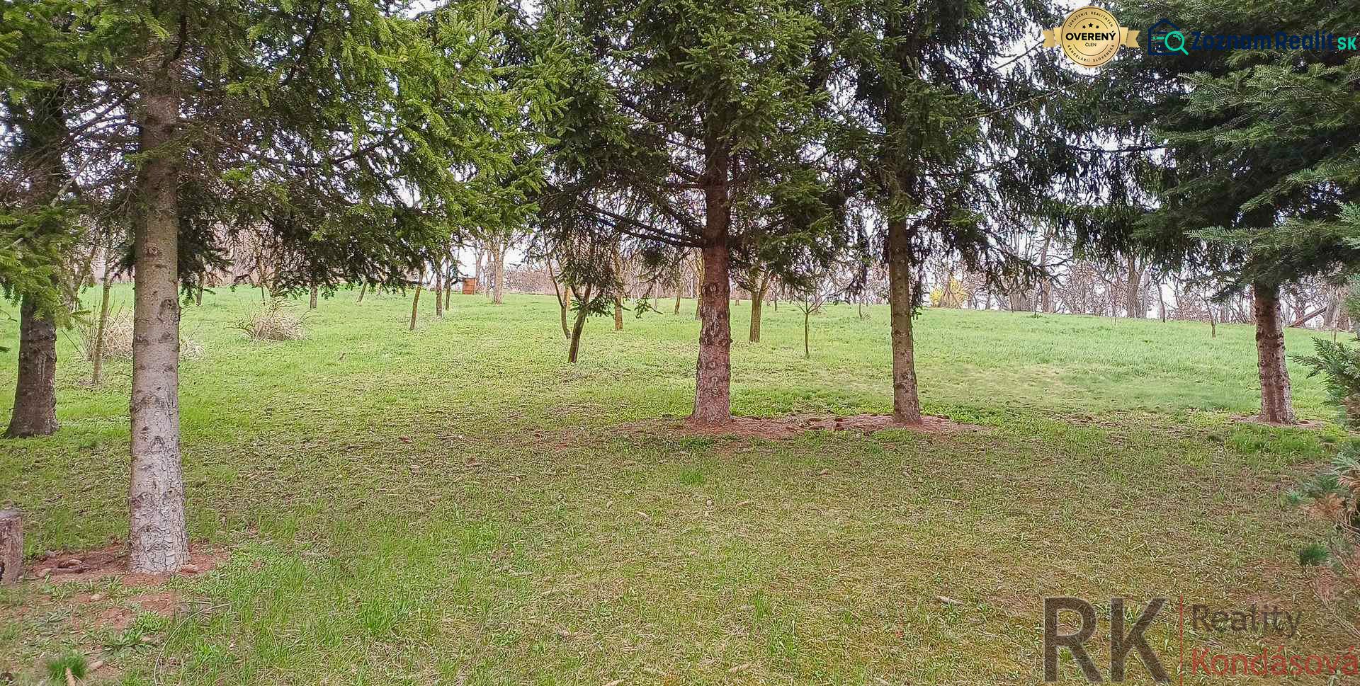 Fotografia 15