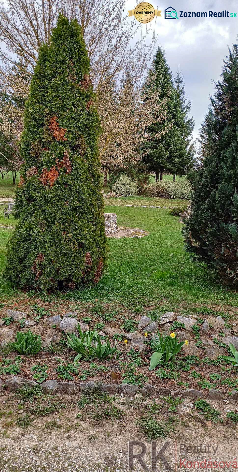 Fotografia 13