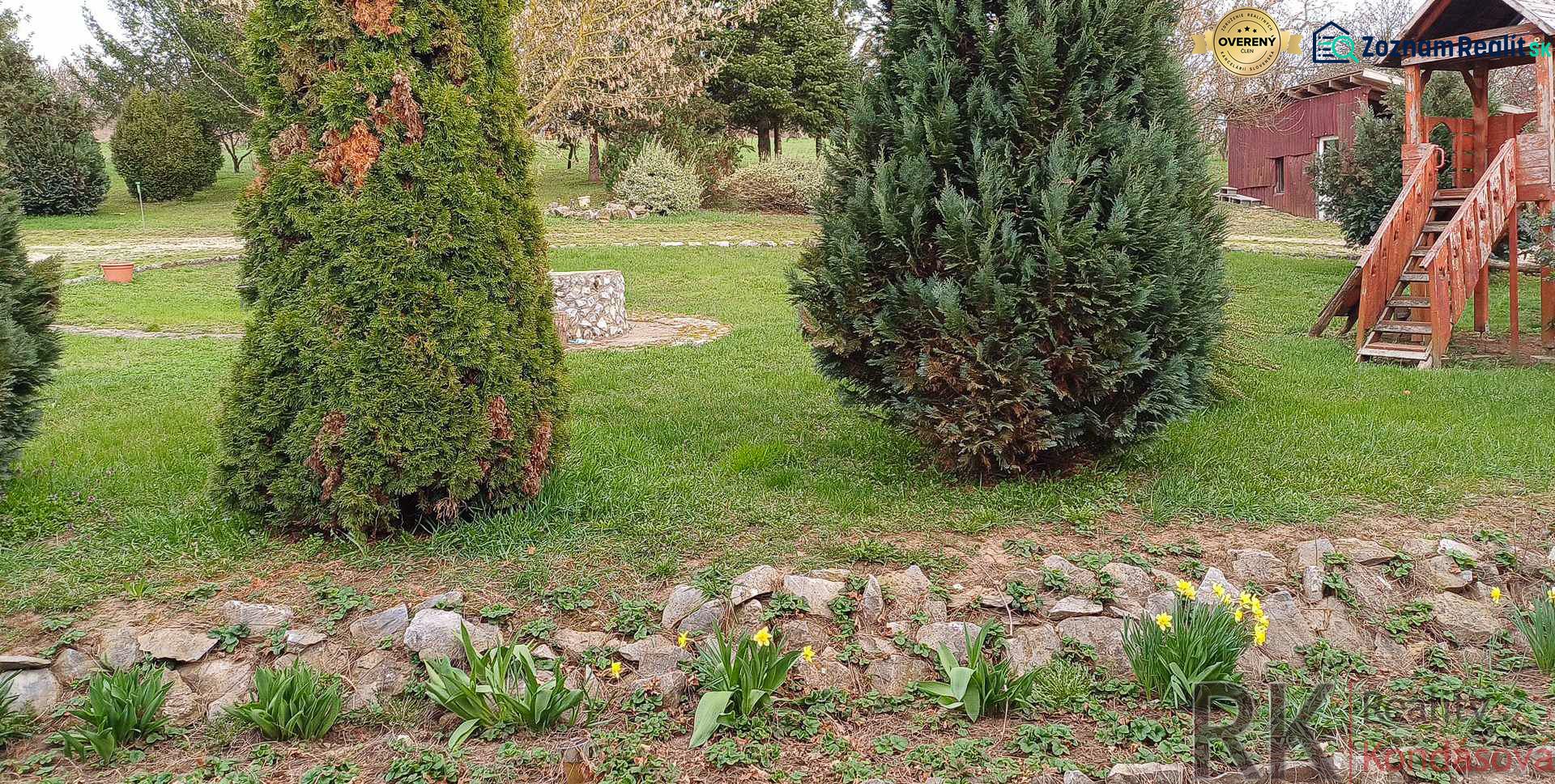 Fotografia 14
